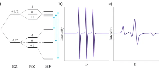 Figure 2.2: Energy levels in nitroxide radicals. a) The electron’s energy is split by the electron Zeeman (EZ) and the nuclear Zeeman (NZ) interaction, giving rise to 6 energy levels