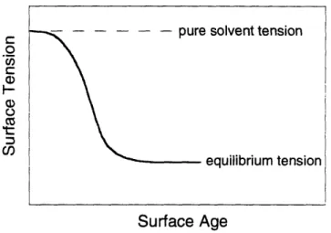 Figure 1-3.  Qualitative  depiction  of typical dynamic  surface  tension  profile after creation  of a  fresh air/water interface.