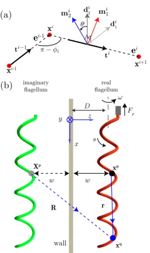 FIG. 1. (a) Discrete rod described by the vertices x i (red dots) and edges e i (dashed arrows)