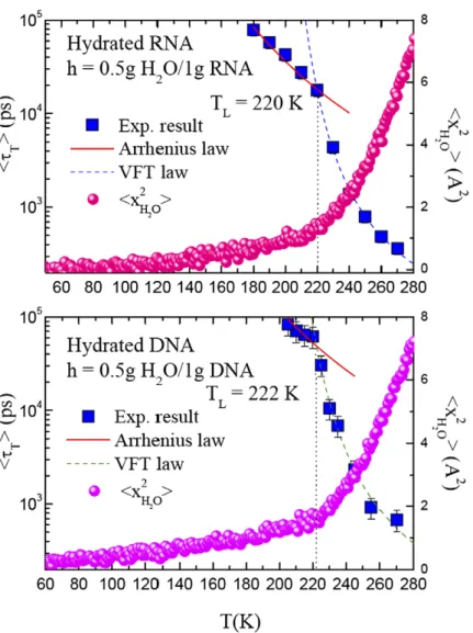 Fig. 7. An example taken from RNA and DNA hydration water which illustrates that the values of the dynamic transition temperature (MSD vs