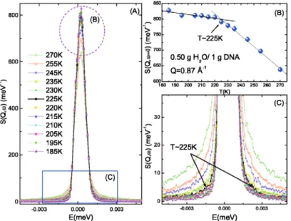 Fig. 3. The difference neutron spectra between the H 2 O hydrated and the D 2 O hydrated DNA samples