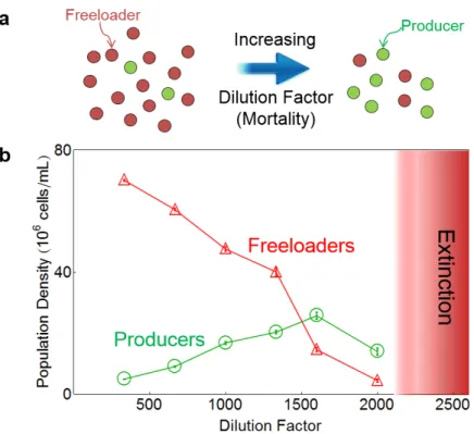 Figure 1. Environmental deterioration leads to a surprising increase in the producer population size preceding collapse of a producer-freeloader ecosystem