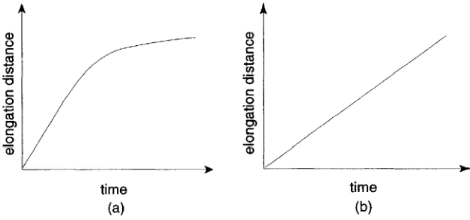 Figure  2-1:  Expected  extensino  profile  in  time  for  two  possible  uncoiling  mechanism
