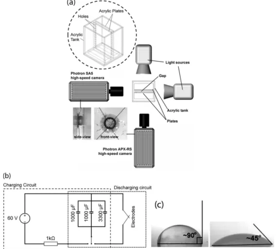 FIG. 1. (a) Schematic of the experimental setup used for the study of bubbles oscillating in a narrow gap