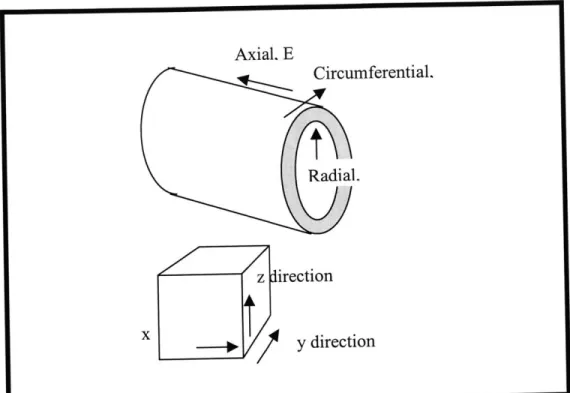 Figure  7  Coordinate system  term  representation. cylindrical  coordinate system  as  well  as  the  rectangular Cartesian  system  axes  directions  are shown  in  the top  and bottom figures
