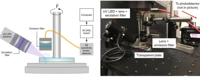 Figure  2-22.  Schematic  and  photo  of  the  rheo-fluorescence  set-up  showing  the  position  of  the  excitation source and collection lens, relative to the transparent upper plate