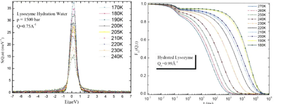 Figure  1.1  A  typical  series  of quasielastic  neutron  scattering  spectra  (left)  and  their Fourier  transform in  the  time  domainl  intermediate  scattering  function  (1SF)  (right)