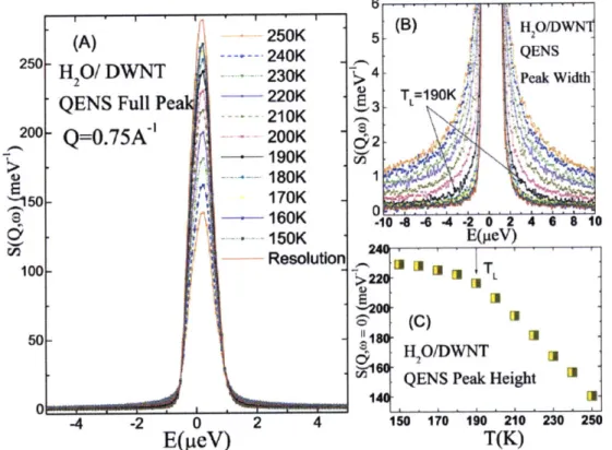 Figure 2.2  Measured  QENS  spectra of water confined in DWNT  at various temperatures  T.