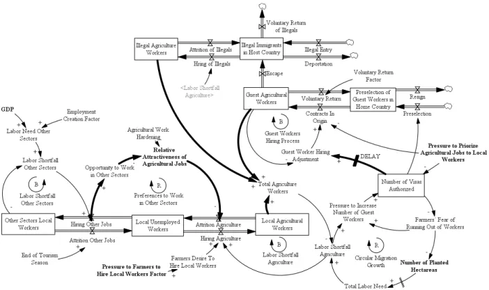 Figure   4.4:   Model   structure   and   feedback   processes           