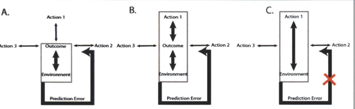 Figure 1.1  Different predictive states that drive behavior.  A.  In this case, a particular rewarding outcome  becomes  strongly linked  to a predictive  sensory  state but not to any  specific action
