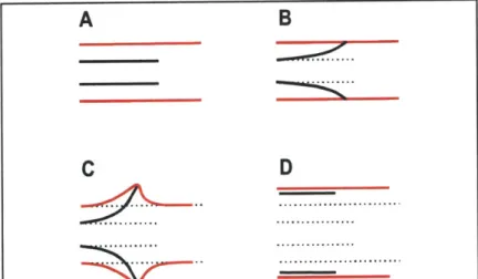Figure  3.8:  Sequence  of stent  expansion.  The  device  is  initially placed  within  the  artery  (panel  A)  and  circumferentially  expands proximally  and distally  until the  ends  are  apposed  to the  vessel  wall (B)