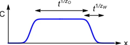 FIG. 8. Definition of dynamical exponents z O and z W governing the size of a spreading operator and the size of the front [as measured using the OTO correlator C (x,t), Sec