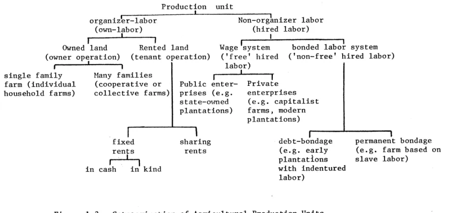 Figure  1.3 Categorization  of Agricultural  Production Units