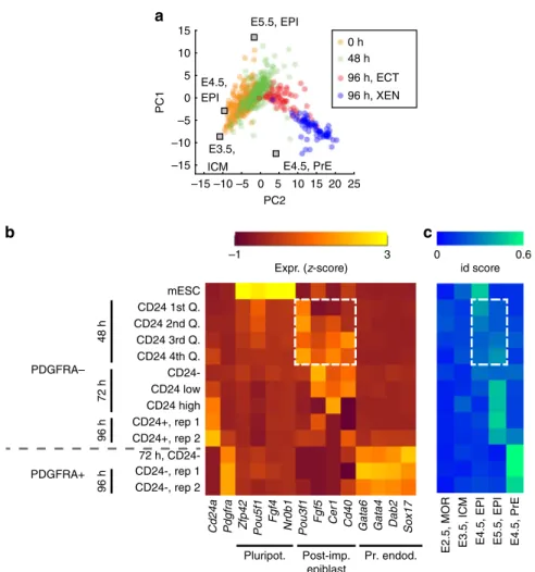 Fig. 4 Differentiation with RA differed from the pathway observed in in vivo development