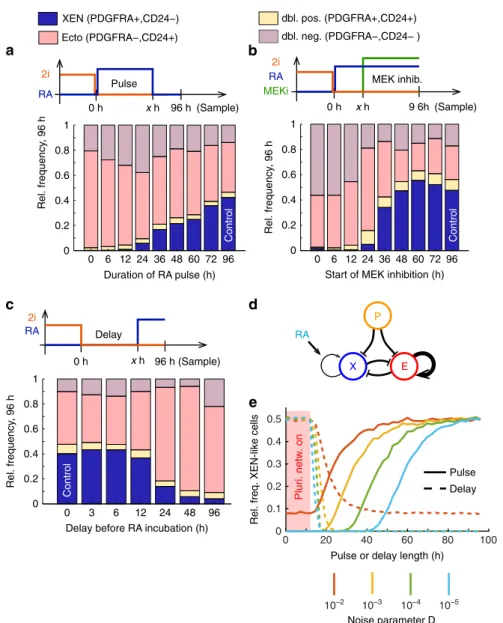 Fig. 5 Susceptibility to signaling inputs was highly dynamic around the exit from pluripotency