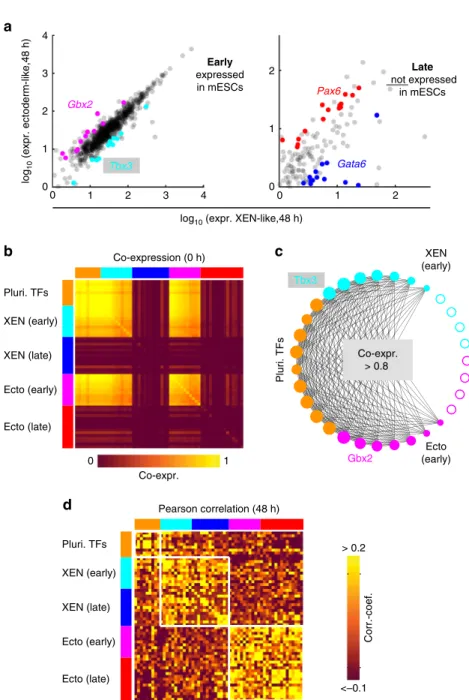 Fig. 6 Distinct co-expression and correlation patterns identi ﬁ ed two classes of lineage speci ﬁ c transcriptional regulators