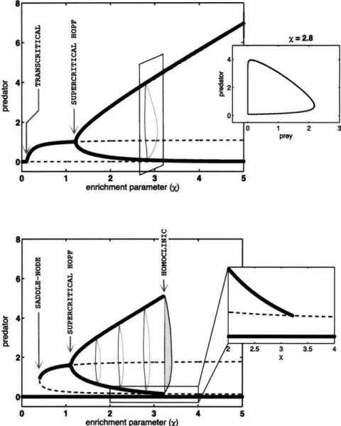 Figure  1-8:  Bifurcations  in predator-prey models  with and without Allee effect;  the enrich- enrich-ment parameter is varied