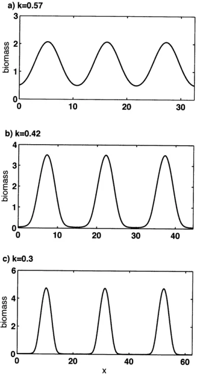Figure  3-3:  Steady-state  distribution  of predator  density.  a)  k  =  0.57:  subcritical,  b) k  =  0.42:  subcritical,  but ratio  ol/N  is large,  c):  k  =  0.3:  supercritical