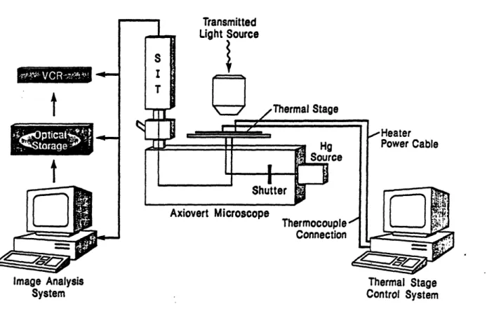 Figure  4.  Depiction of the integrated thermal microscopy system consisting of a thermal microperfusion stage and fluorescent microscopy and image analysis system.