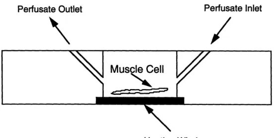 Figure  5.  Schematic of the thermally controlled microperfusion stage.