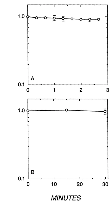 Figure  6.  Normalized  intracellular  calcein  intensity  as  a function  of  time  for photobleaching (A) and natural dye leakage (B) at 37 ° C