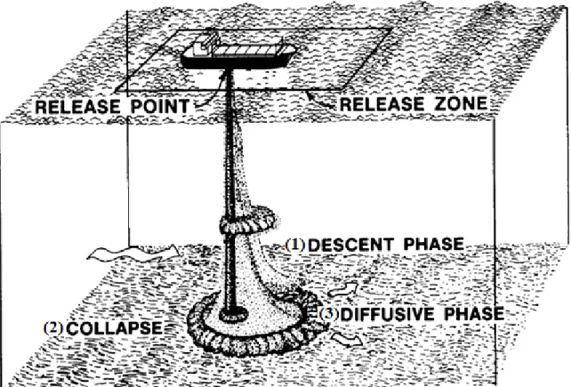 Figure  1-1:  The  three  descent  phases  of  particle  clouds  during  open-water  sediment  disposal: convective descent, dynamic collapse, and passive diffusion (after Montgomery  and Engler, 1986)