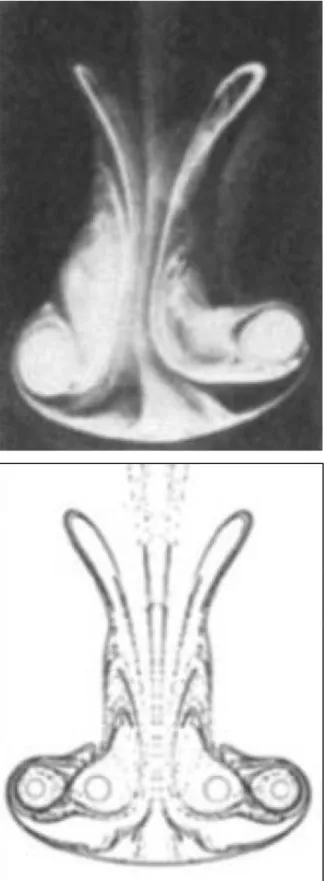 Figure  2-1:  Two-dimensional  cross-sections  of  vortex  rings;  the  top  figure  is  a  photograph (Yamada and Matsui, 1978) and the bottom image is a computational figure  (Shariff, Leonard, and Ferziger, 1989)