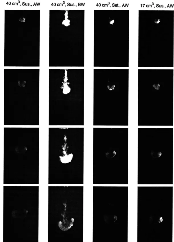 Figure  4-3:  selected  cloud  images  at  1 s,  2  s,  4  s,  and  6  s  - Group  II  experiments.