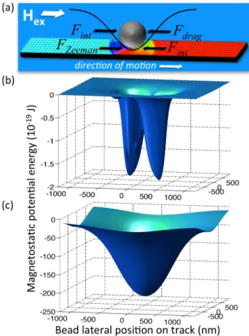 FIG. 1. (Color online) (a) Micromagnetically computed domain wall struc- struc-ture in a 400 nm wide  40 nm thick Ni 80 Fe 20 (Permalloy) track, with  sche-matic of trapped bead and relevant forces during translation in a fluid.
