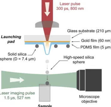 Figure 2 shows representative impact sequences for the three elastomer samples; the corresponding full field  of view videos are available in the supplementary information (see Supplementary Videos S1–3)