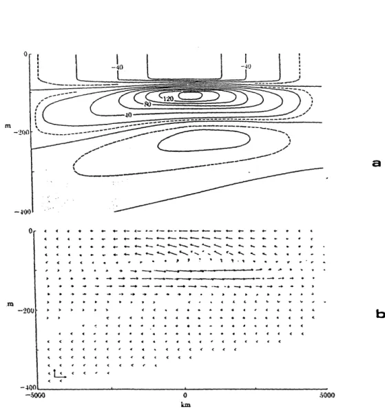 Figure  13:  Equatorial  section  from  McCreary's  (1981)  linear  stratified undercurrent  model