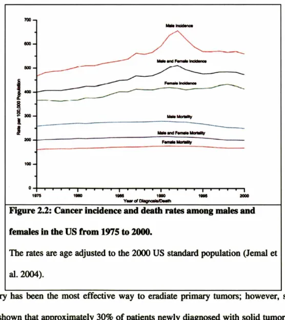 Figure 2.2: Cancer incidence and death rates among males and females in the US from 1975 to 2000.