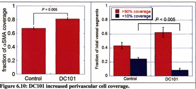 Figure 6.10: DCI0l increased perivascular cell coverage.