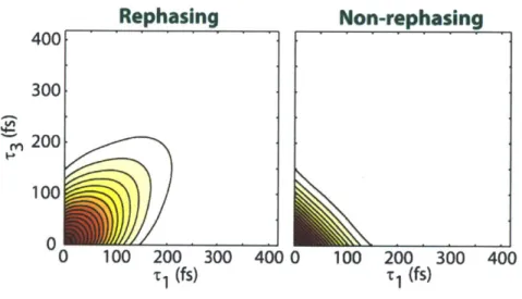 Figure  2-2:  Rephasing  (left)  and  non-rephasing  (right)  contributions  as  a function  of  ti