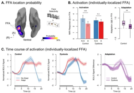 Figure 6. Reduced neural adaptation in dyslexia to faces in FFA