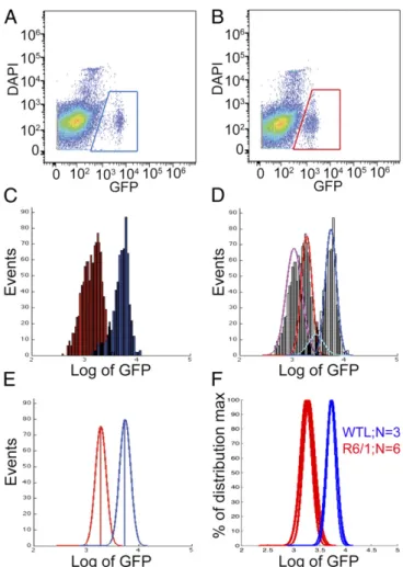 Fig. 1. Loss of D2GFP levels in HD model MSNs is visible by ﬂ ow cytometry and can be robustly quanti ﬁ ed