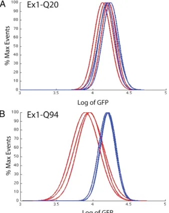 Fig. 3. A virally delivered mutant HTT exon 1 construct induces D2GFP loss.
