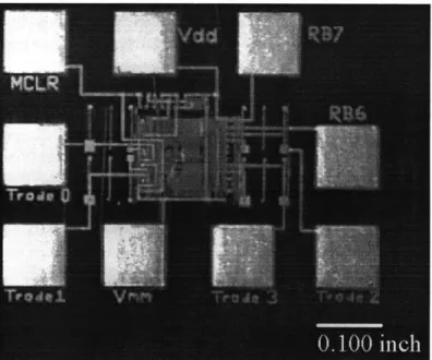 Figure  3.2:  Micrograph  of a  &#34;flexible&#34;  multi-chip  module.