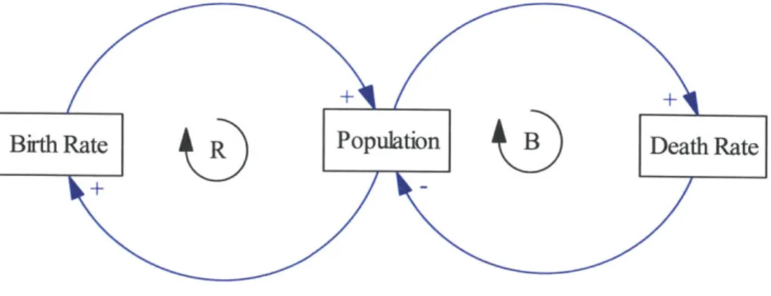 Figure  3: Causal  Loop Diagram  (CLD)  of Birth and Death Rates