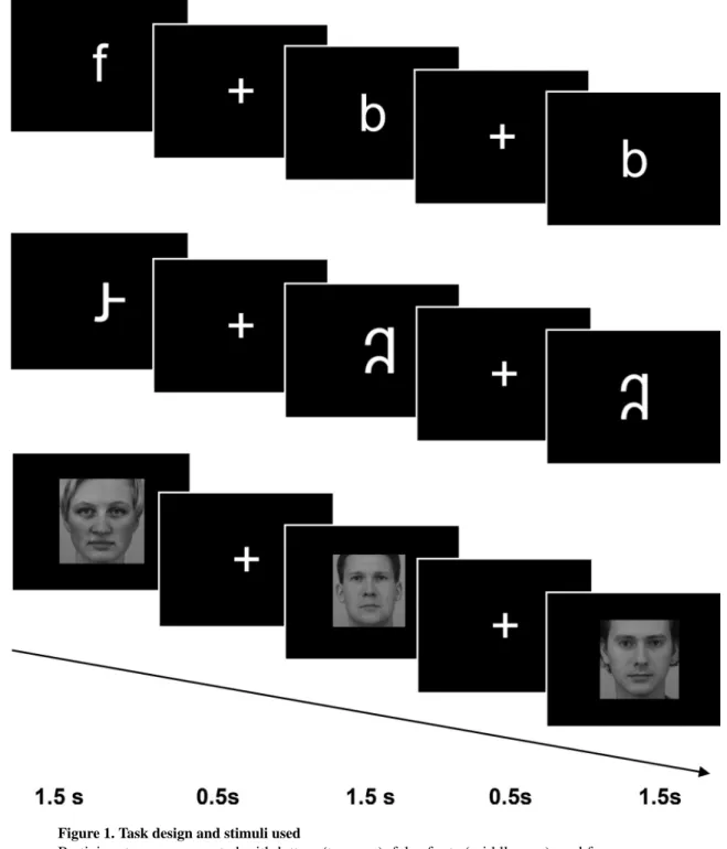 Figure 1. Task design and stimuli used