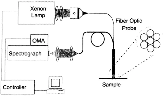Figure  5.2.  xpcnrncntal  setup  used  in the  experimcnts  with  in  viivo tissues.