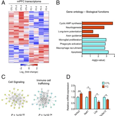 Fig. 1. Associative memory encoding primes the mPFC transcriptome for neuroplasticity