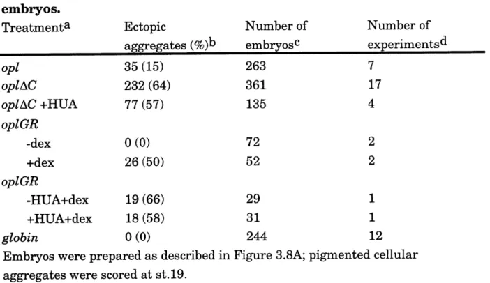 Table  3.1.  Frequency of ectopic  cellular aggregates  in  injected embryos.