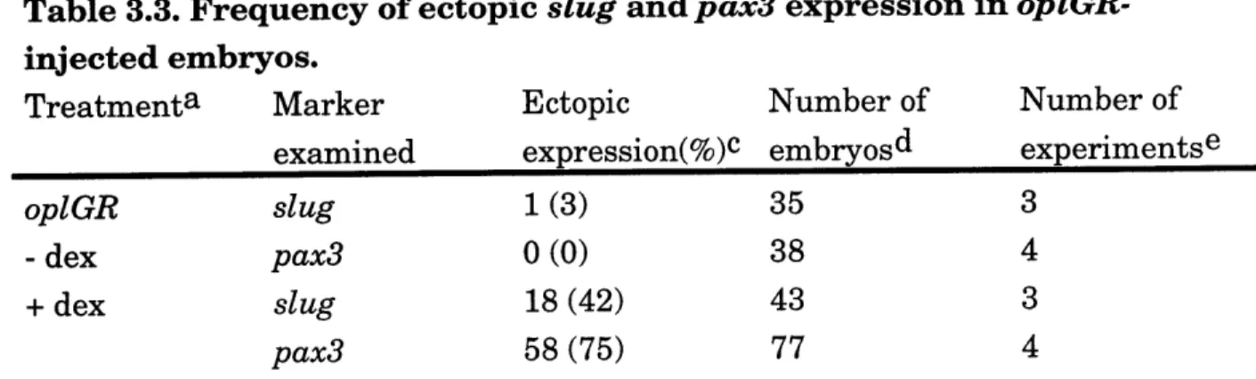 Table  3.3. Frequency  of ectopic  slug and pax3  expression injected embryos.