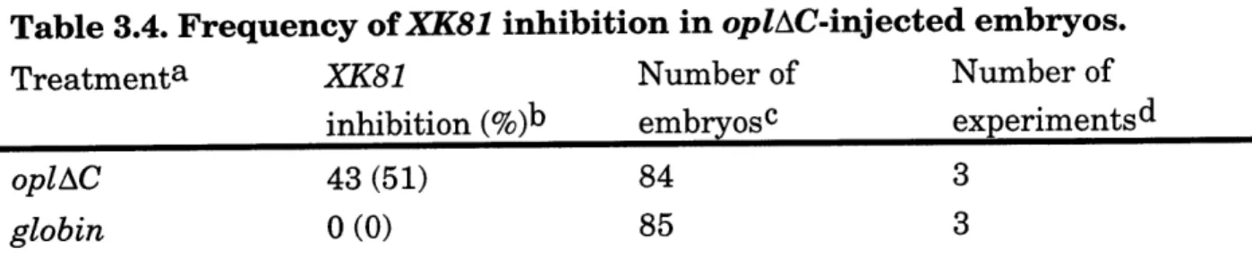 Table 3.4.  Frequency  of XK81  inhibition in  oplAC-injected  embryos.