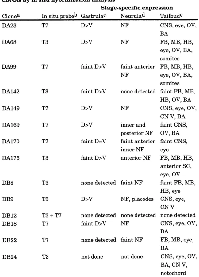 Table  2.2.  Expression  pattern of isolated  gastrula dorsal ectodermal cDNAs  by in situ hybridization analysis