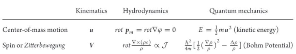 Table 1. Decomposition of fluid motion into center-of-mass motion in the classical sense and non-classical spin motion.