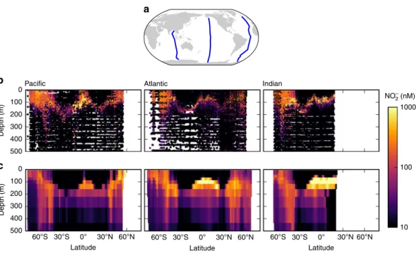 Fig. 1 Observed and modeled nitrite (NO  2 ) concentrations along three transects in the ocean