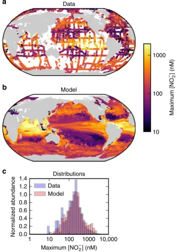 Fig. 5 Observed and simulated maximum nitrite concentration in the oxygenated water column