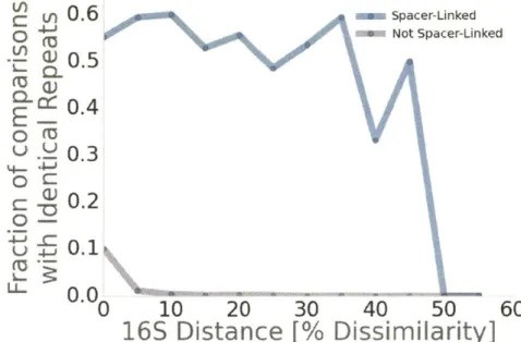 Figure 2.2:  Shared  spacers  frequently  have identical repeats. Among  all genomes  that either share  a matching  spacer (blue) or do  not (purple),  the  fraction of comparisons  that have an  identical repeat is  presented